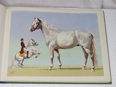 Horse Lithographs Prints Around the World with Horses Book Sam Savitt 1962 HC
