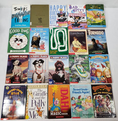 3rd Grade Chapter Books For Kids Lot of 20 Classics Homeschool Teacher Classroom