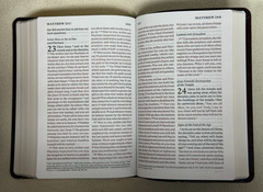 ESV Giant Print Personal Size Bible, Red Letter, TruTone, Mahogany