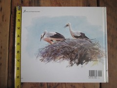 Your First Step Book Henri Sorensen 1996 Hardcover First Edition Beautiful Art