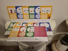 Sesame Street WORDS ARE EVERYWHERE Learning Series Bilingual Kit – Book DVD More