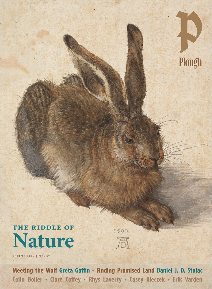 Plough Quarterly No. 39 – The Riddle of Nature By Lore Ferguson