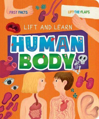 Clever Publishing My First Lift-the-Flap: Human Body (Board Book) Lift & Learn