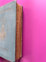 THE BLUE ROSE FAIRY BOOK by Maurice Baring, 1911, First Edition, illustraed RARE