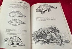 HOW TO DRAW PREHISTORIC MONSTERS By Larry Evans 1979 trade paperback