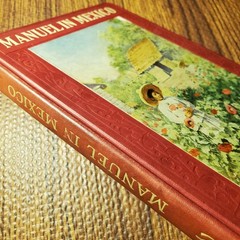 Manuel in Mexico McDonald Dalrymple 1910 Illustrated Little Brown