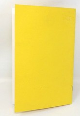 Feng Shui Basics Soft Cover Book Steve Tomblyn Paperback 24 Pages US Seller