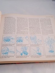 Vintage 1978 Reader’s Digest Illustrated Guide to Gardening Hardcover; 672 pages