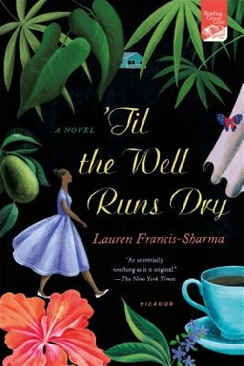 ’Til the Well Runs Dry (Paperback or Softback)