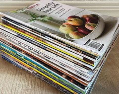 10X Random Selection Magazines Junk Journal Collage Crafting Home Travel Nature