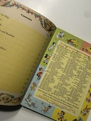 Hymns Elsa Jane Werner Little Golden Book Vintage 1947