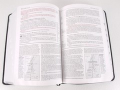Zondervan NIV Life Application Study Bible Indexed Black Leather 1984 2011 USA