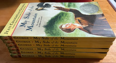 My Side of the Mountain-Six (6) Paperback-Trade Books-Jean Craighead George