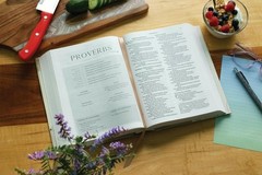 Flourish: The NIV Bible for Women, Hardcover, Multi-color/Cream, Comfort Print