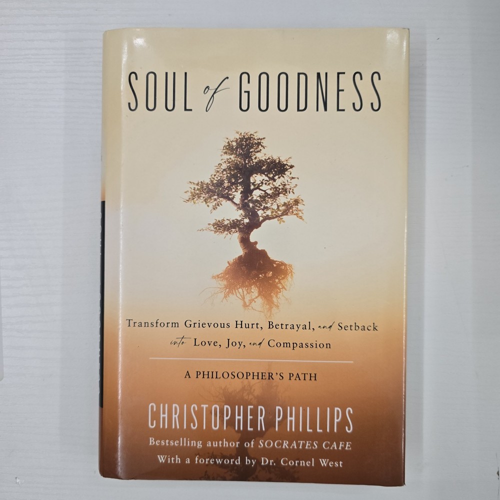 Soul of Goodness by Christopher Phillips ( 2022, Hardcover)