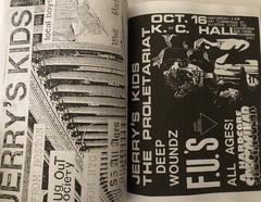 400 Punk Rock Flyers Book – Minor Threat, Bad Brains, Circle Jerks, Misfits FEAR