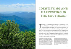 Southeast Medicinal Plants: Identify, Harvest, and Use 106 Wild Herbs for Health