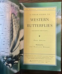 Field Guide to Western Butterflies by Paul A. Opler (1999, Trade Paperback)