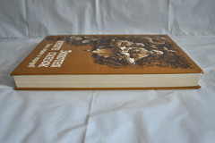 Золотая Книга Сказок Всех Стран и Народов текст изд. 1913 М. Вольф Russian Book