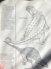 A Field Guide to Dinosaurs Coloring Book – Like New/Unused Vintage 1989 Rare PB
