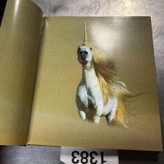 Unicorns I Have Known by Robert Vavra Hardcover