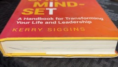 The Ownership Mindset: A Handbook for Transforming Your Life and Leadership