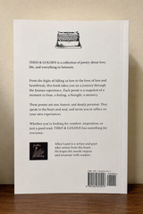Theo of Golden Paperback by Allen Levi New book