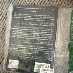 Steadfast Ink: The Journey Within by Joanie Holzer Schirm, Paperback, Memoir