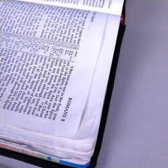 Holy Bible Red Letter Revised Standard Version – 1972 Nelson 4807 Second Edition