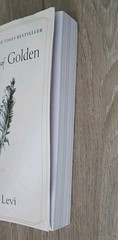 Theo of Golden: A Novel – Paperback Book by Levi Allen EXCELLENT