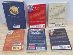 Guardians of Ga’Hoole Lot of 6 Kathryn Lasky 5 PB’s & 1 Hardcover