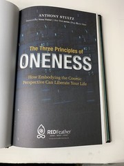 Three Principles of Oneness : How Embodying the Cosmic Perspective Can Liberate