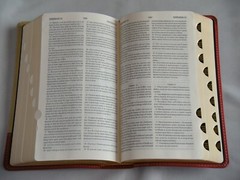 Russian/English Parallel Bible, Tan Cherry, ImitationLeather,Synodal/King James