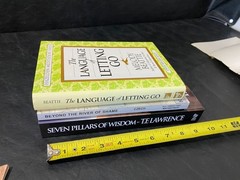 The Language of Letting Go Beyond the River of Shame Seven Pillars of Wisdom
