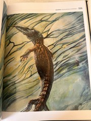 Age of Ancient Sea Monsters (PNSO – Hardcover, by Chuang Zhao; Yang – Good