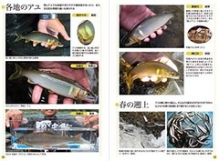 Fish & Fishing Guide 672 Pages: Species ID,Tackle & How to Clean (Japanese Book)