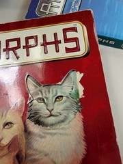 Animorphs Complete Series Lot Set of 64 Vintage 1-54 + 10 KA Applegate Megamorph