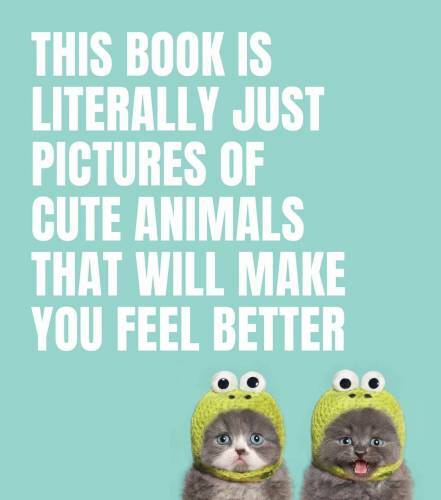 This Book Is Literally Just Pictures of Cute Animals That Will Make You F – GOOD