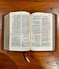 RARE: Charles Ryrie Study Bible NKJV, Premium American Bison Leather Binding