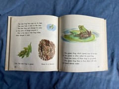 WHAT IS A FROG Gene Darby John Hawkinson 1957 WHAT IS IT SERIES 3rd Grade Level