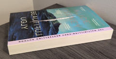 Beautiful Ugly a novel by Alice Feeney Paperback Dark Thriller