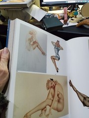 THE GREAT AMERICAN PIN-UP Martignette & Meisel HUGE 280 pages 2011 1st 246810975