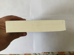 View from Lake Como : A Novel by Adriana Trigiani UNCORRECTED PROOF 7/25 NEW