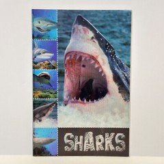 Sharks book by Sarah Creese, Reader (Paperback)