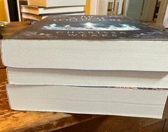 The Witch Collector, Wolf and the Witch Charissa Weaks PB Romantasy 3 book lot
