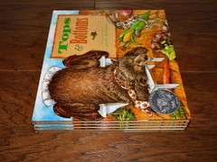 LOT 5 Tops & Bottoms Janet Stevens HC Children Book Grd K-2 Age 4-8 Homeschool