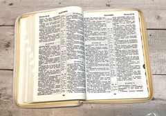 Библия Russian Bible large print Большой формат БЕЛЫЙ переплет индексы молния
