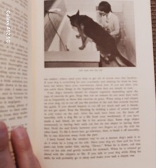 Winifred Gibson Strickland Expert Obedience Training for Dogs HC Rev Illus