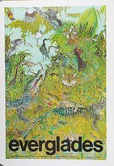 Everglades: Everglades National Park, Florida by Jean Craighead George