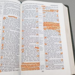 Rare Kenneth Hagin Ministries Rhema KJV Study Bible Calfskin Green by Cambridge